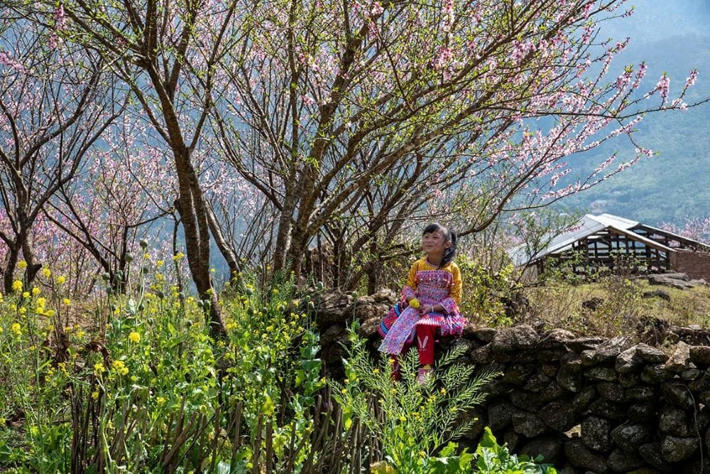 Chính sách đi trước thị trường là điều kiện để những giá trị này không biến mất.